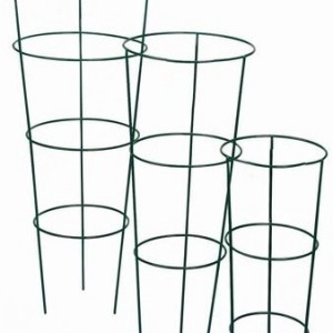 Conical Plant Support